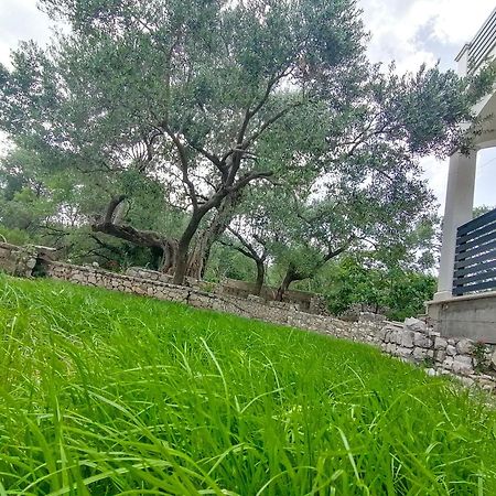Vila Dolani Klek Extérieur photo