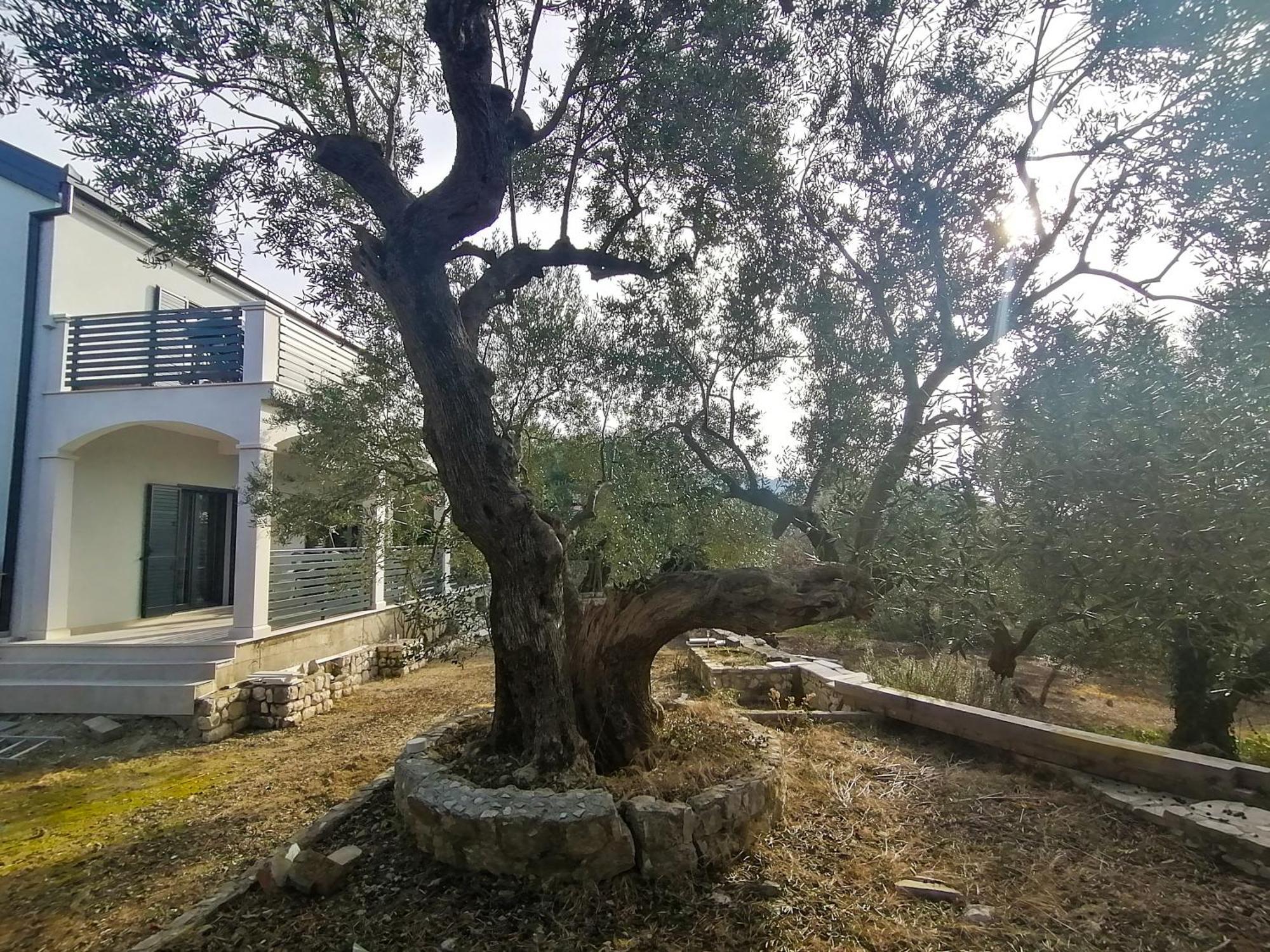 Vila Dolani Klek Extérieur photo